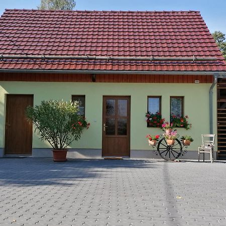 Schaffrath'S - Ferienhaus 霍恩斯泰因 外观 照片
